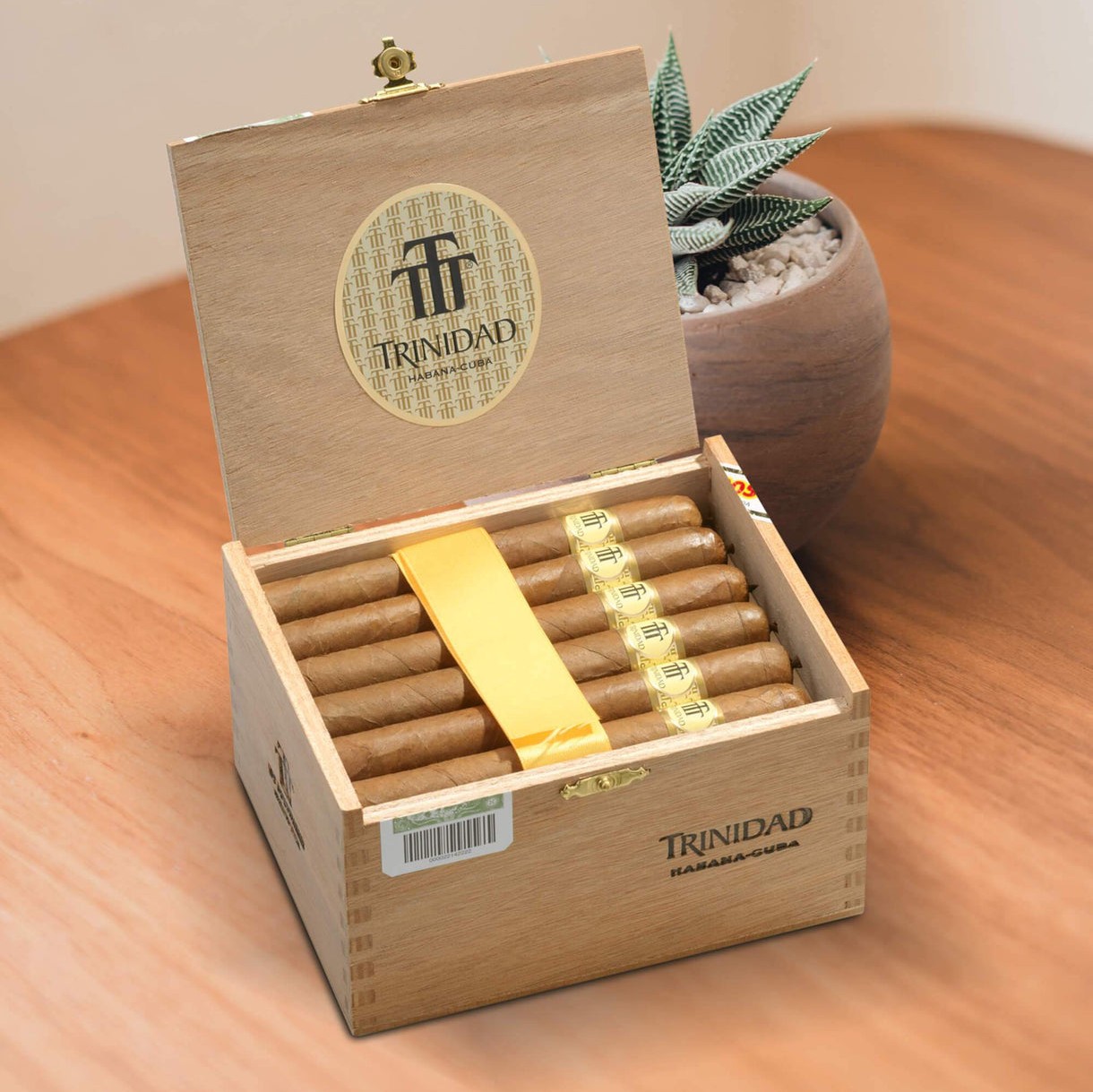 29320208089181_1220x_crop_center~2