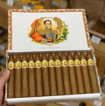 Bolivar Belicosos Finos HR